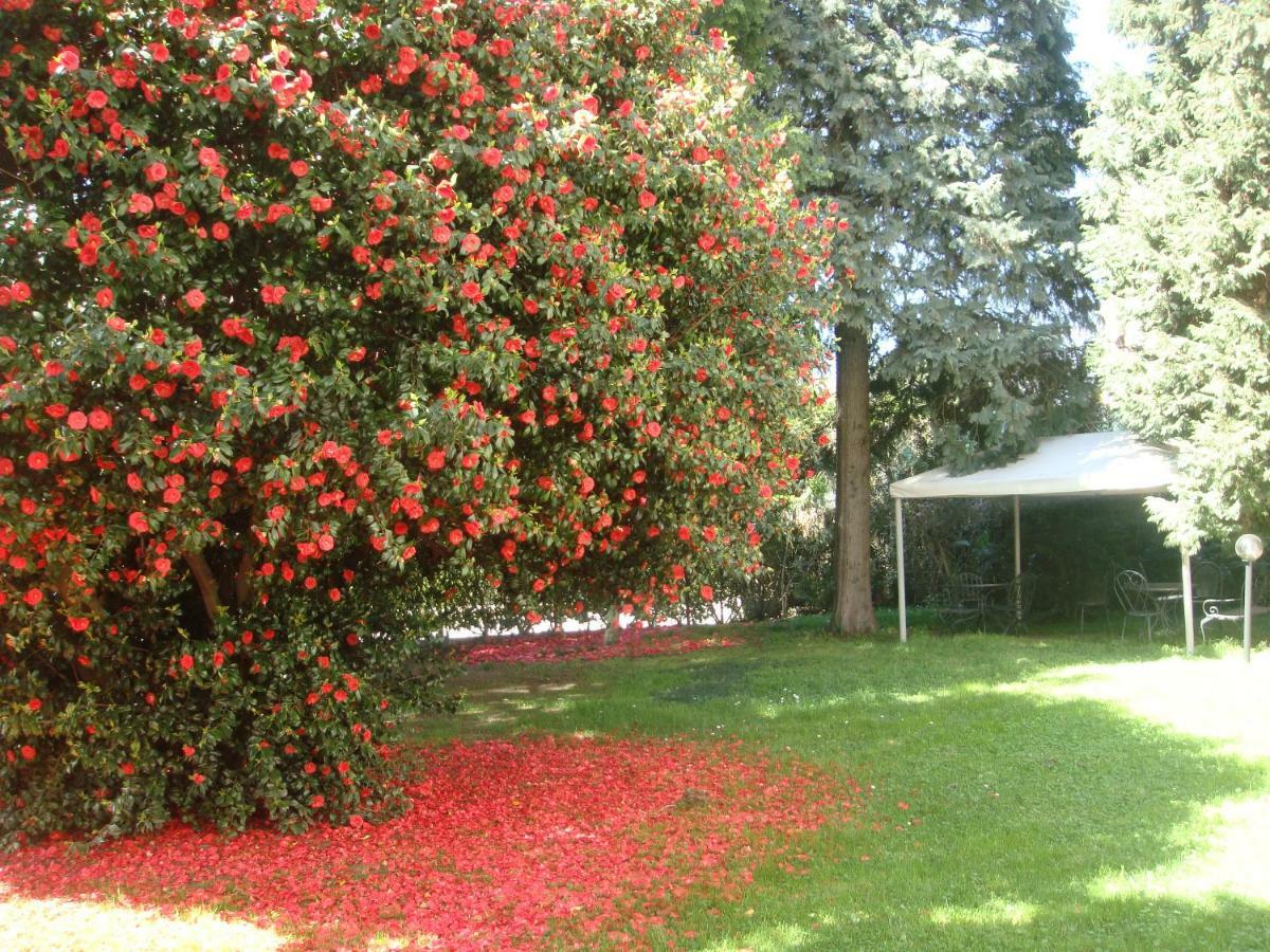 Villa Cardano Maccagno Close To Every Destination Luaran gambar