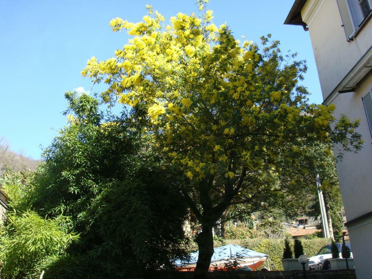 Villa Cardano Maccagno Close To Every Destination Luaran gambar